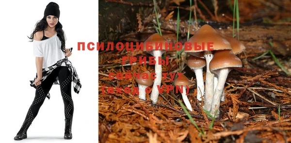 гидропоника Абинск